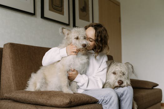 A woman sits on a couch embracing her two fluffy dogs, creating a warm and cozy indoor scene.