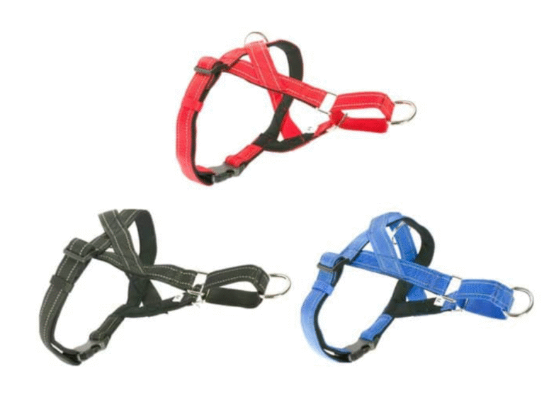 Знімок екрана 2025-07-11 о 9.32