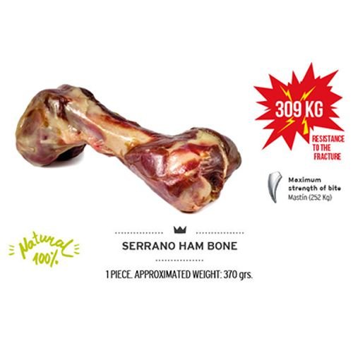 2fb036abc9a583a0424f9cae7ca02935