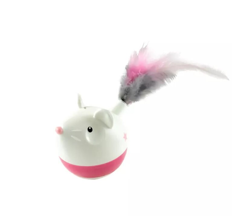 photo_2026-01-05_15-08-26