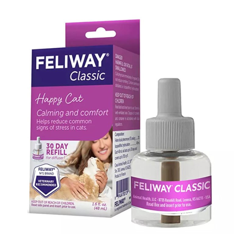 photo_2026-01-05_15-15-31